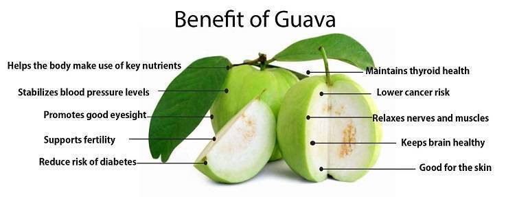 Sadly no. guava juice good for diabetes This foam storage block has room fo...